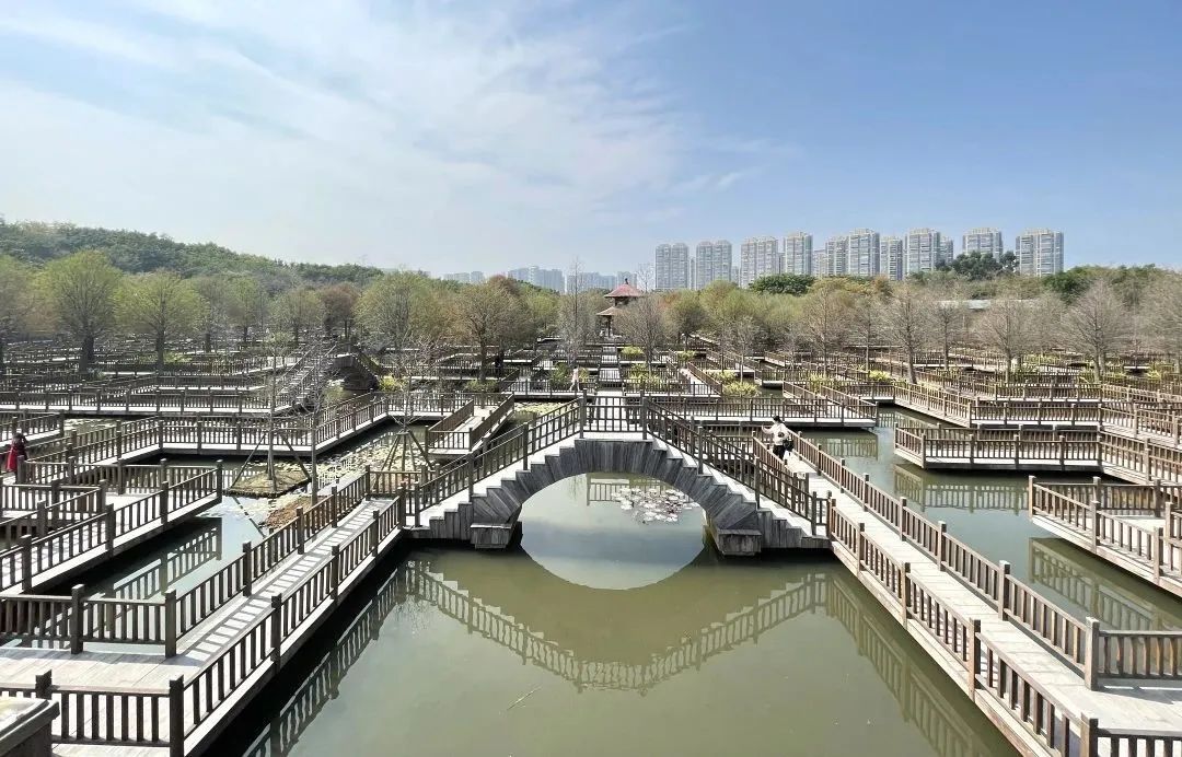 brt鐜板湪鎬庝箞涔樺潗,brt涔樺潗鏀荤暐