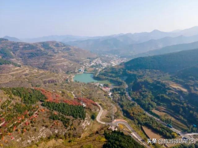 济南红叶谷最新视频,济南红叶谷免票政策