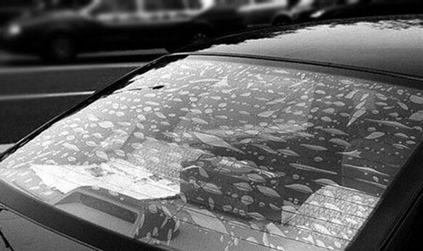 汽车贴膜后边缘起泡怎么办,汽车后挡贴膜加热丝起泡怎么办