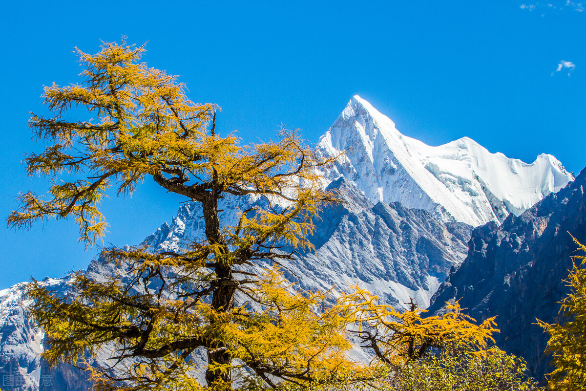 真正有城府的人是怎么说话,城府深的人都会说这三种话