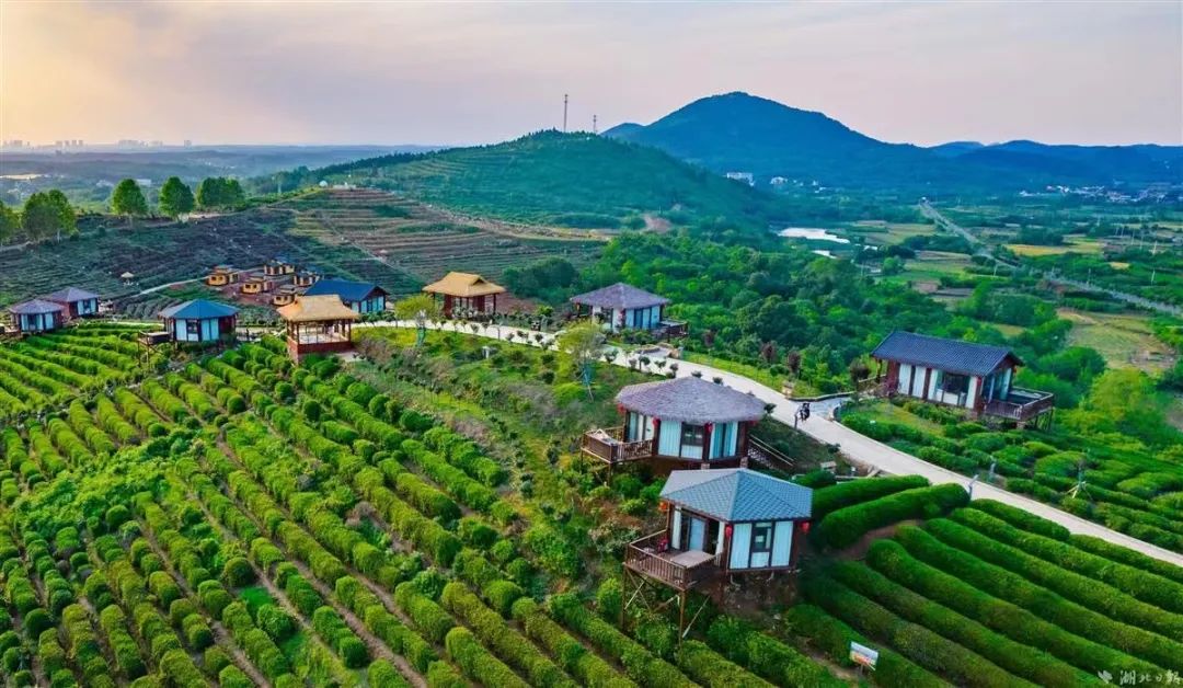 孝昌丰山网红打卡地,孝昌网红打卡景点