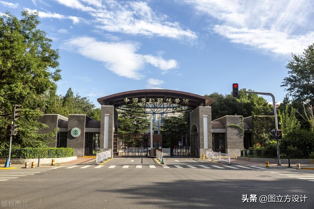 以善为办学理念的学校校园文化,幸福教育理念校园文化