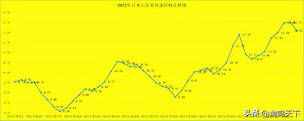第45周山东省畜产品市场行情分析