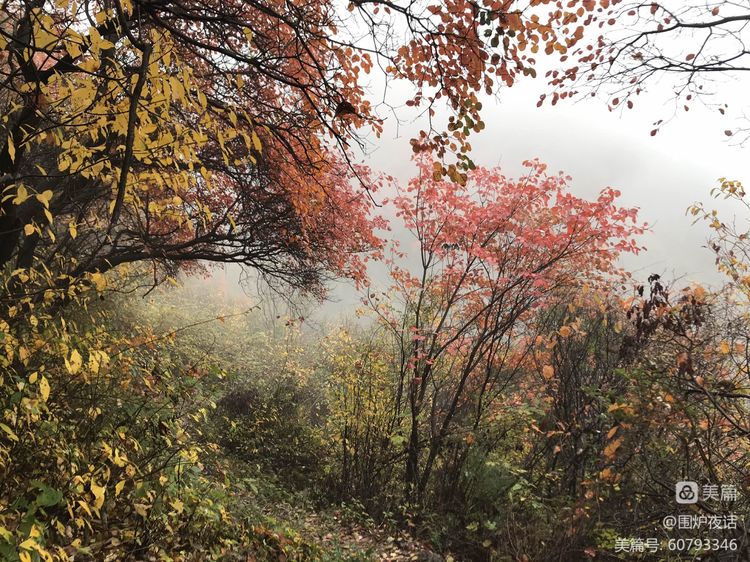 新狂人日记邹思程,新狂人日记全文