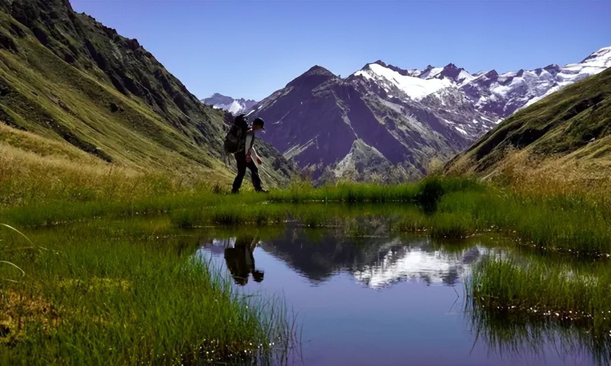 年薪39万还配备直升机通勤,年薪30万新西兰工作