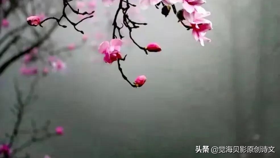 赞美善良的人的诗歌,拥有一颗善良的心诗歌