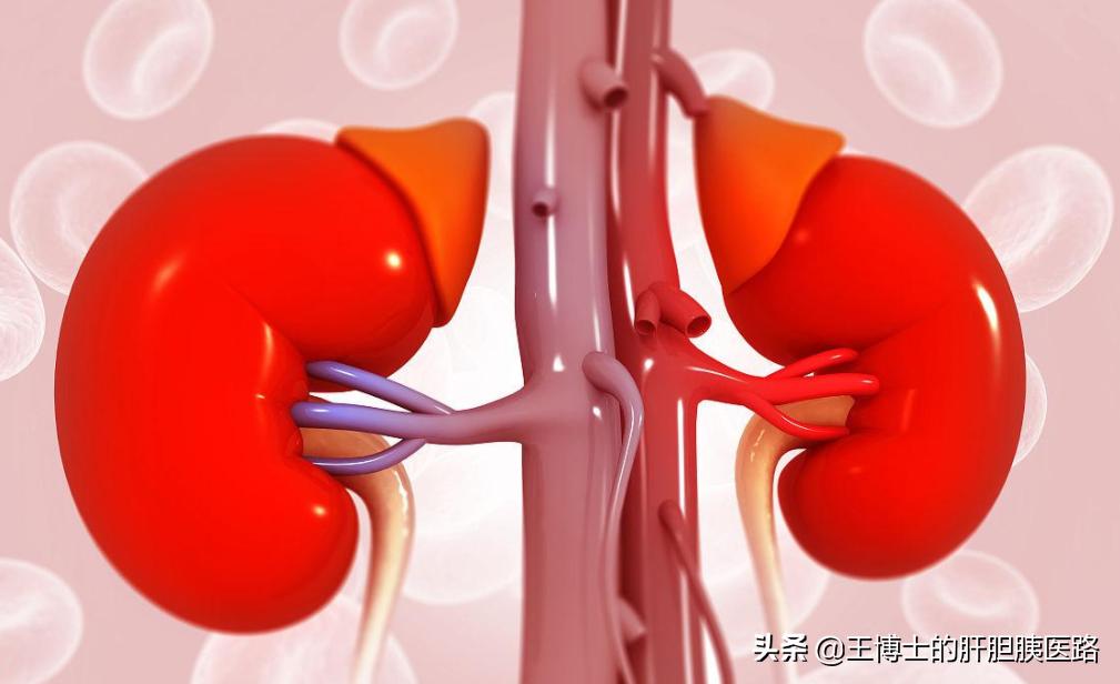 糖尿病肾病新药非奈利酮疗效如何,非奈利酮最新消息