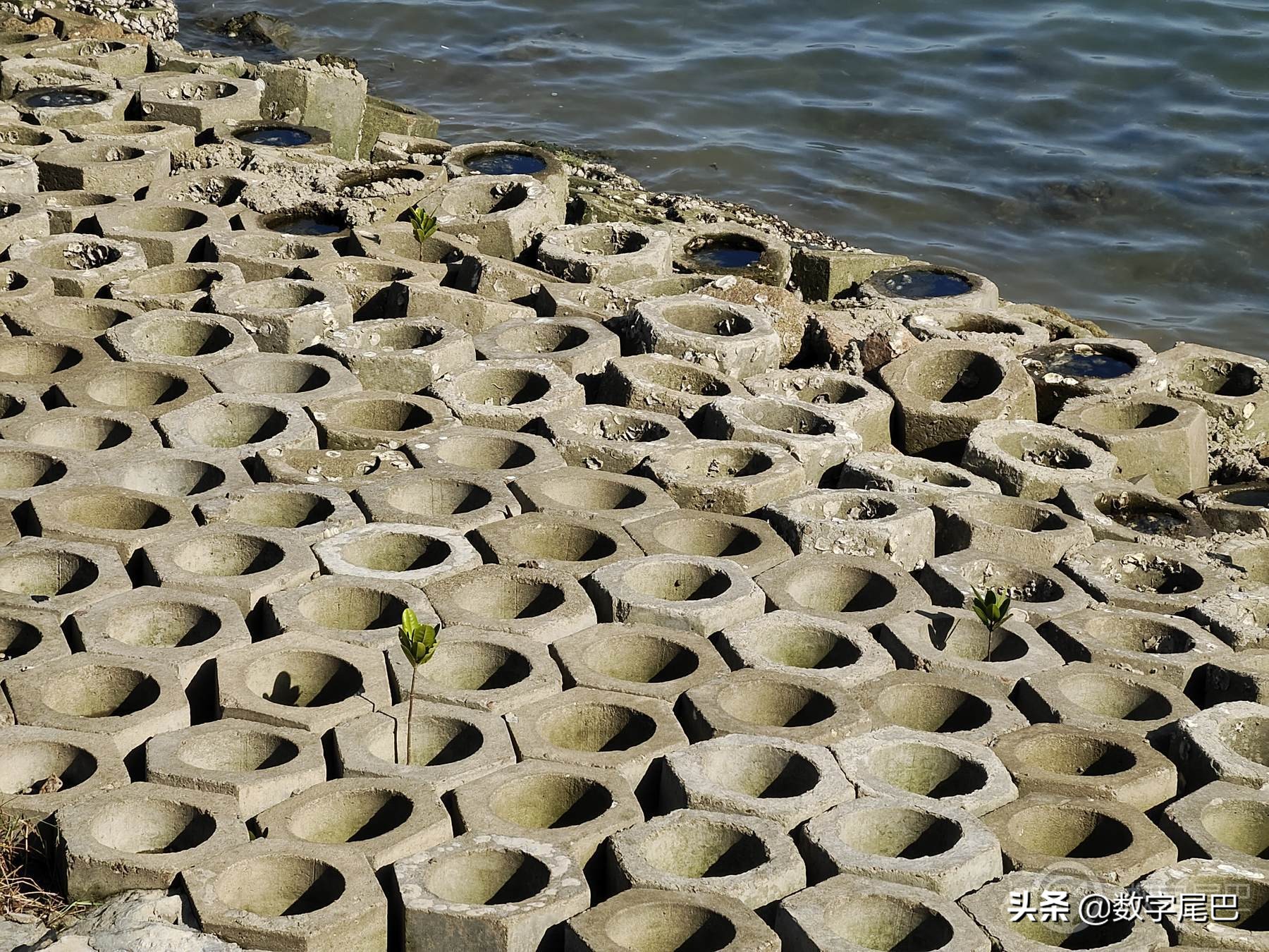 vivoxnote全面测评,vivoxnote详细测评