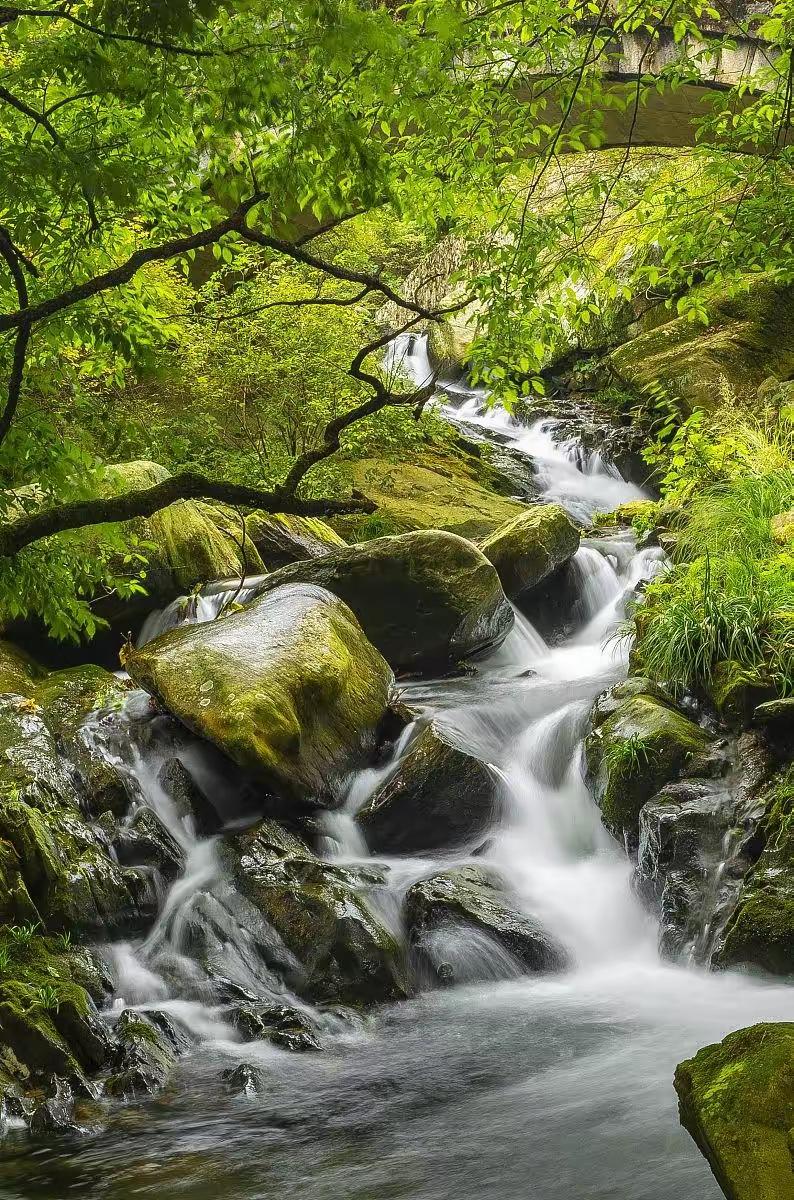 庐山门票事件视频,庐山门票争议事件