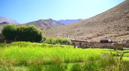 尼姑苦行僧徒步行走,一个小尼姑的艰辛出家路