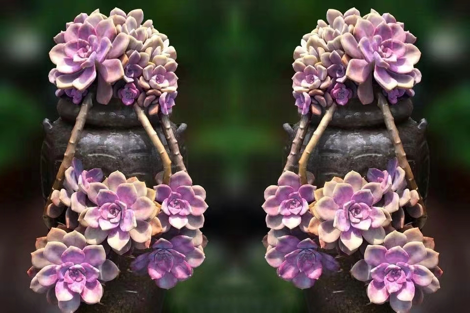 拼图技巧讲解300片,拼图技巧讲解1000片背面不带字