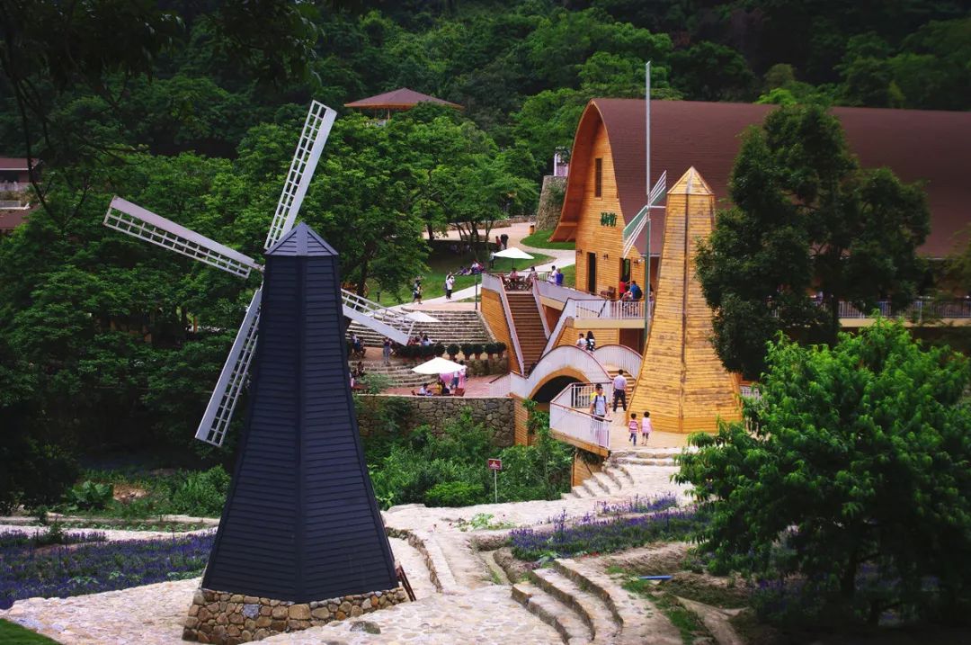 广州鹤之洲湿地公园游玩攻略简介,增城凤凰古城一日游最佳去处