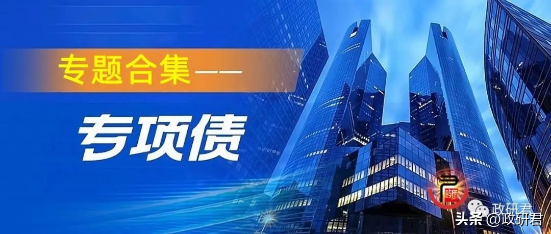 政府专项债能否作为项目资本金,专项债作为项目资本金是什么意思