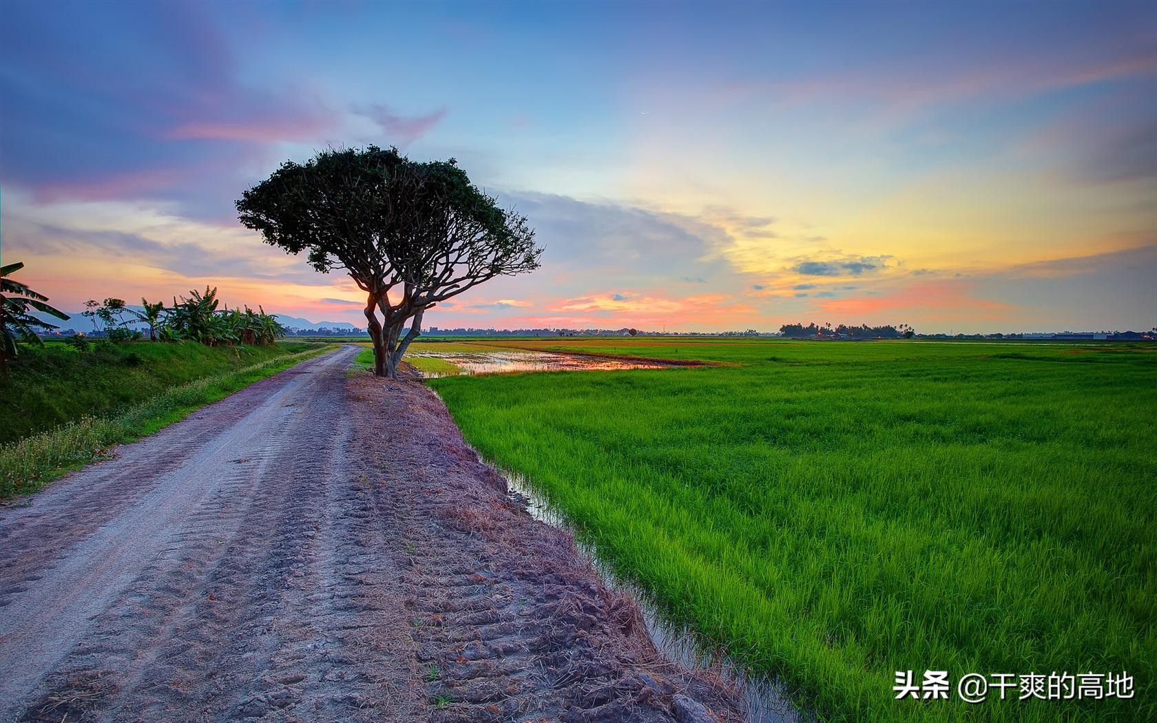 散文｜李沛新：瘦父如山