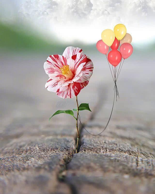 孤独寂寞伤感经典句子朋友圈,一个女人在他乡孤独伤感的句子