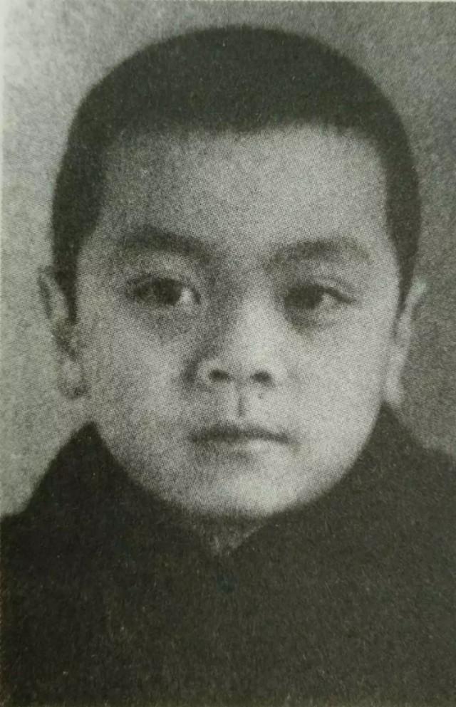 赵忠祥死后遗产留给谁,赵忠祥为何遗产全部留给一个人