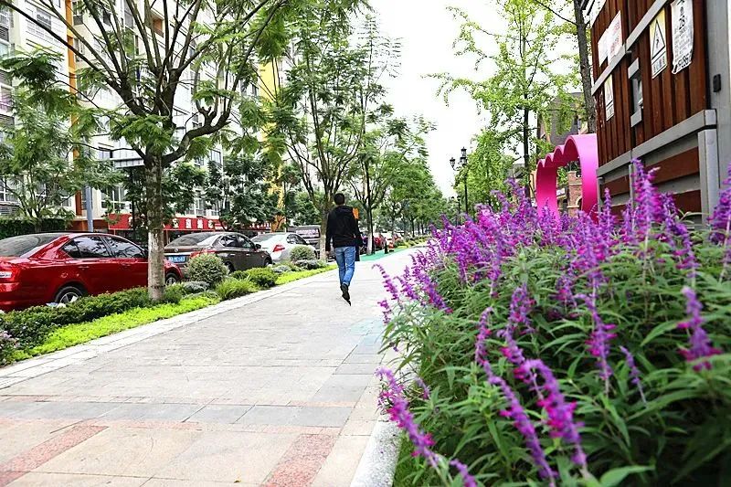 新津最繁华商业街,新津最美街道