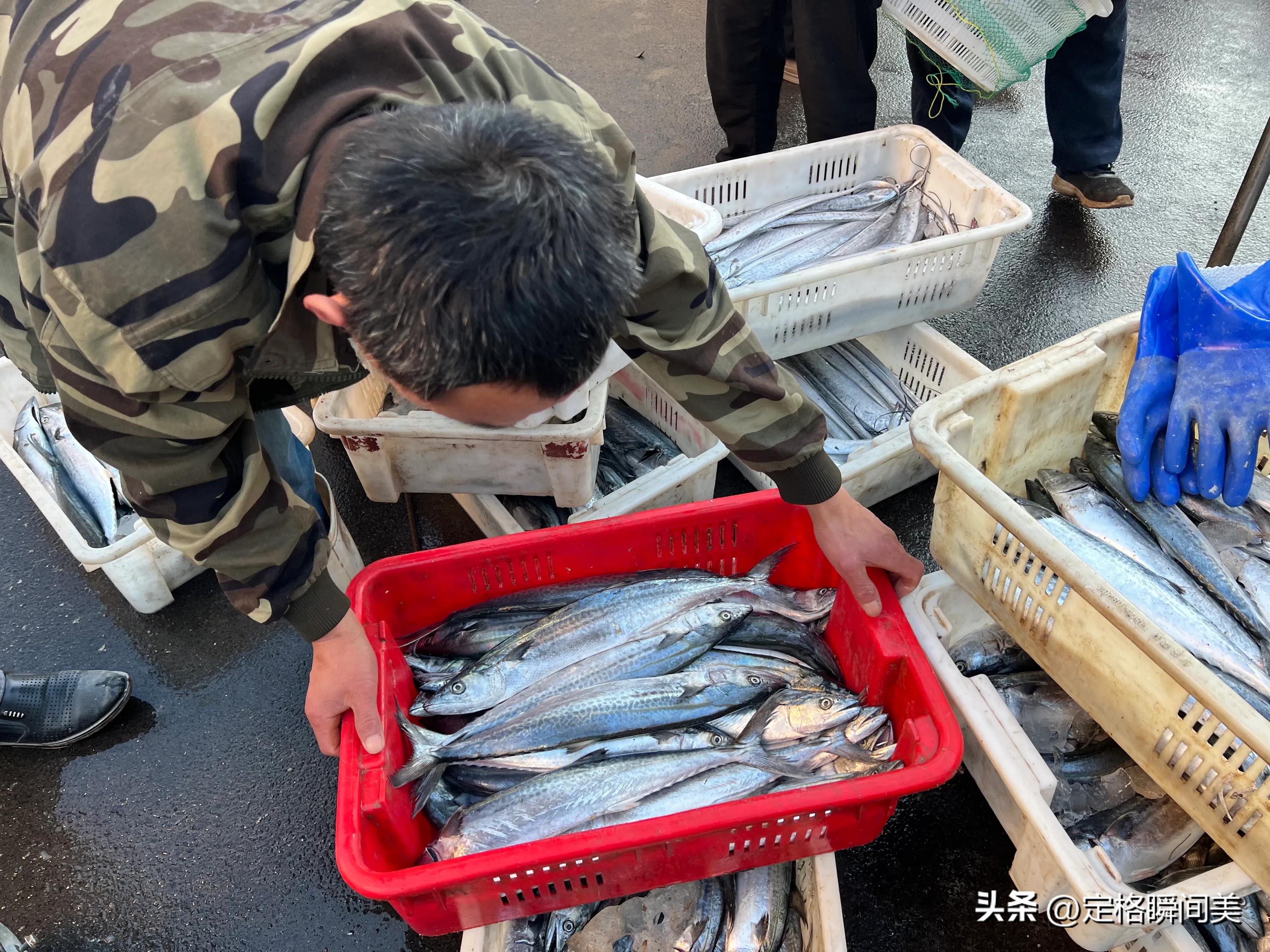 青岛冬季海鲜最便宜,青岛冬季便宜海鲜