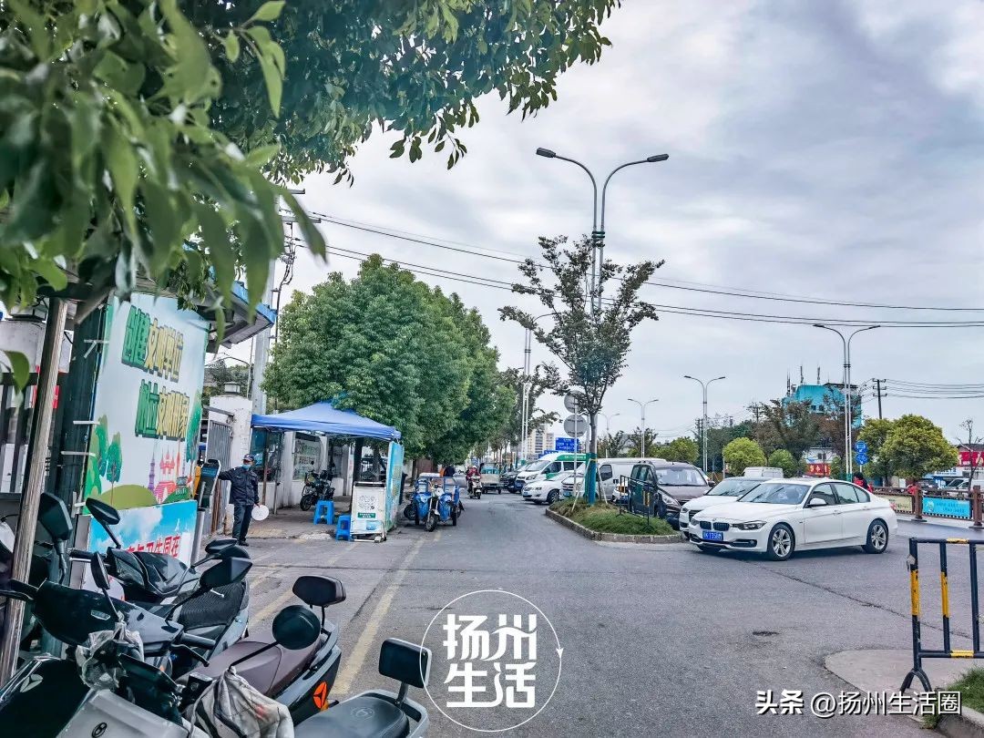 不吃一顿螃蟹，扬州人过不好这个秋天