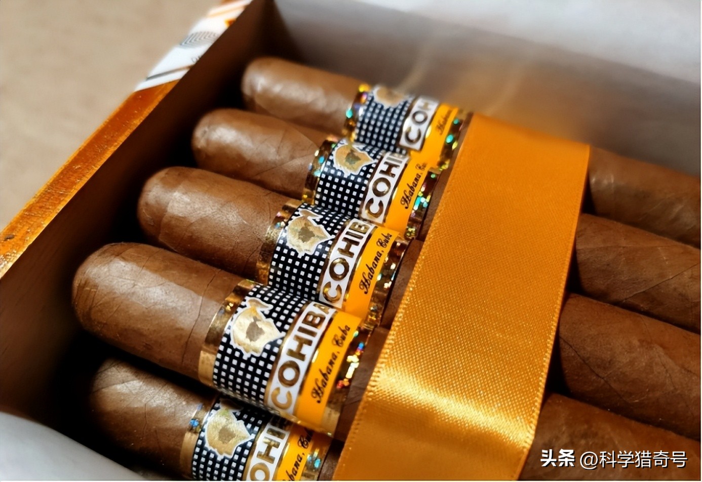 古巴最贵的雪茄是哪种 (古巴雪茄724万一支制作过程)