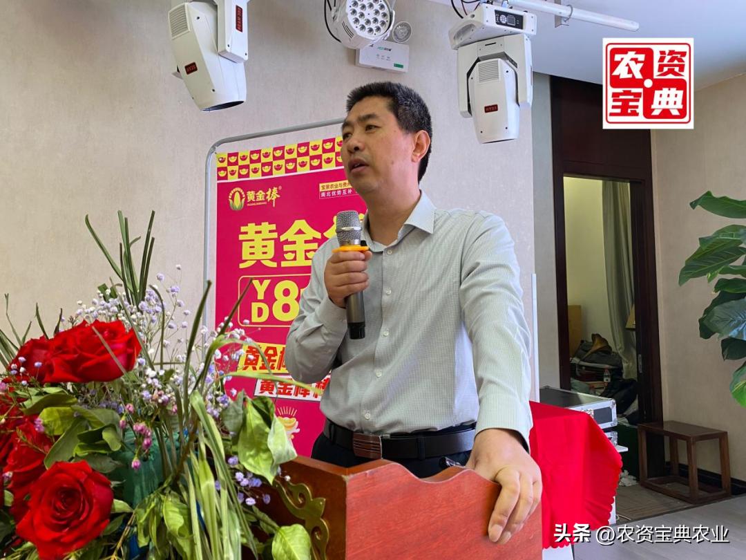 黄金棒819玉米种介绍,黄金棒YD819玉米种审定公告