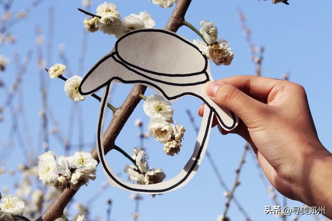 河南科技大学春景,河南科技职业大学校园春景