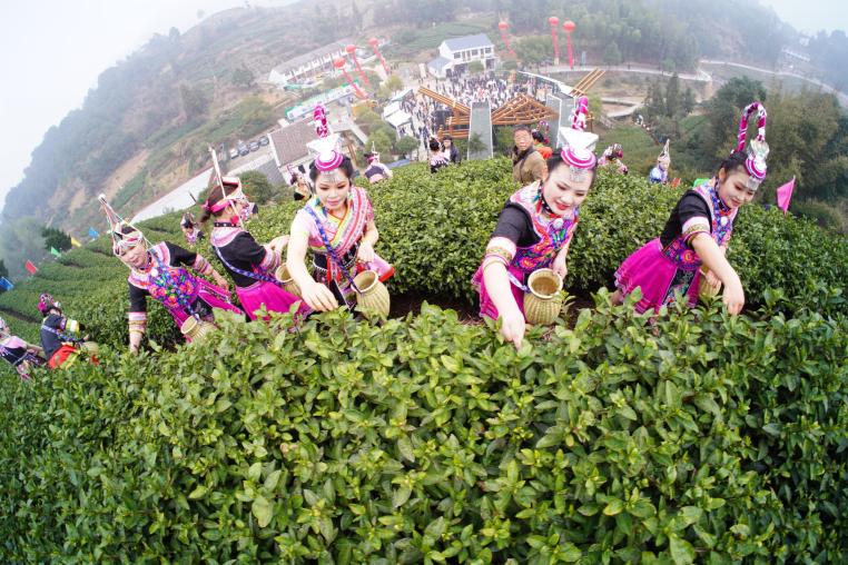 浙江土特产大全有哪些,浙江特产有哪些土特产品呢