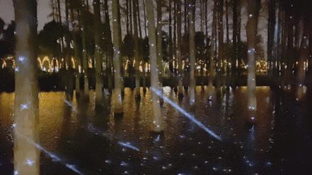 请注意！胖虎出没武汉街头