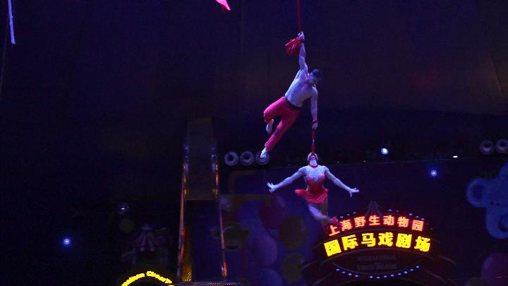 新节目表演,新综艺震撼来袭