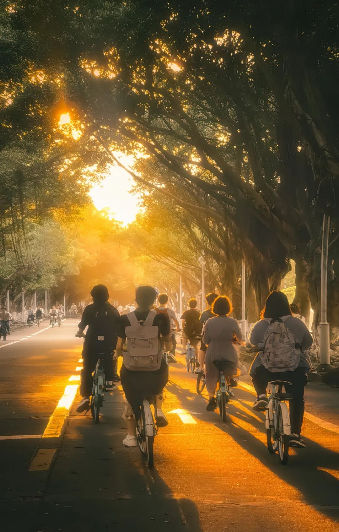 华南第一学府：中山大学,华南最高学府
