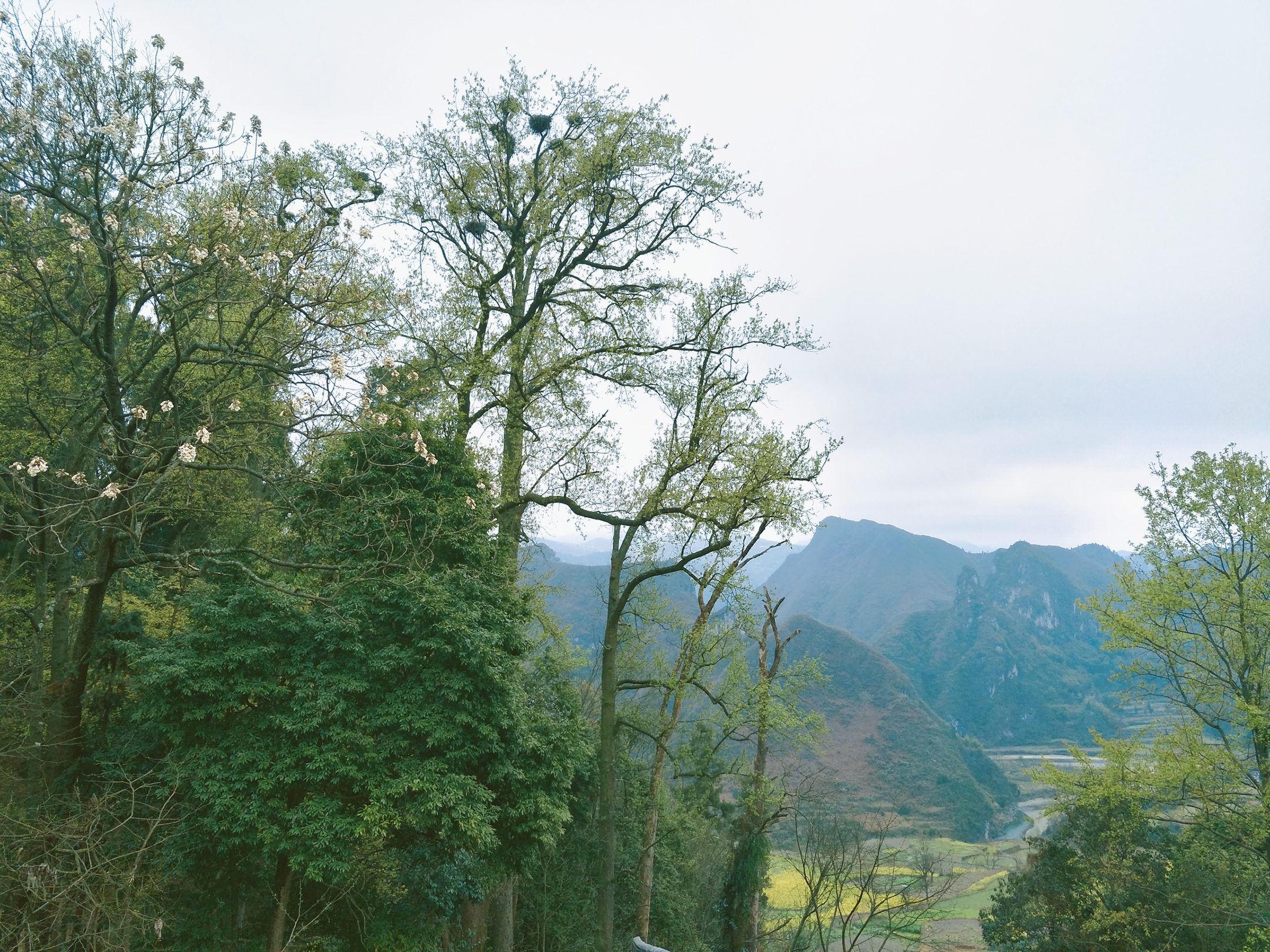 贵州石阡楼上古寨地图,贵州的古寨