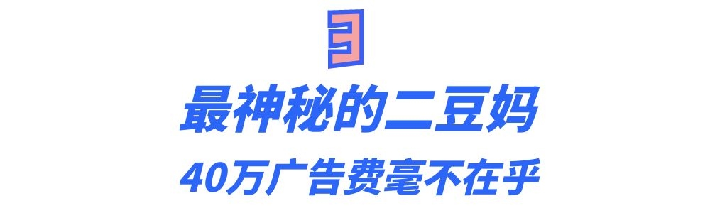 猫界顶流刘二豆,喵界顶流二豆
