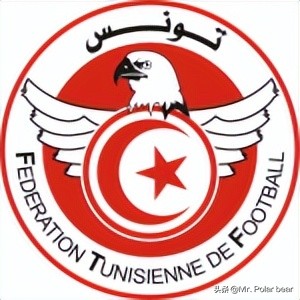 卡塔尔世界杯巡礼之巴西,卡塔尔世界杯沙特阿拉伯队巡礼