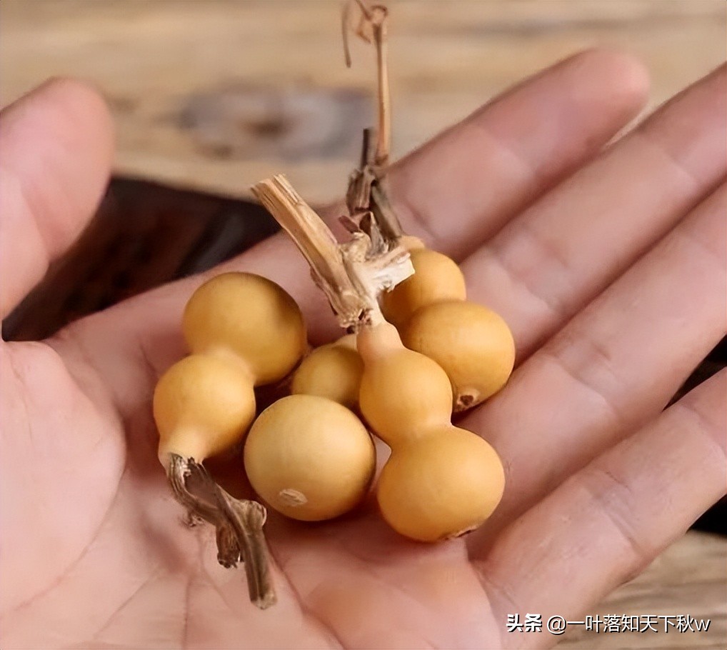 这四种文玩越玩越值钱你有吗,能盘透的几种文玩