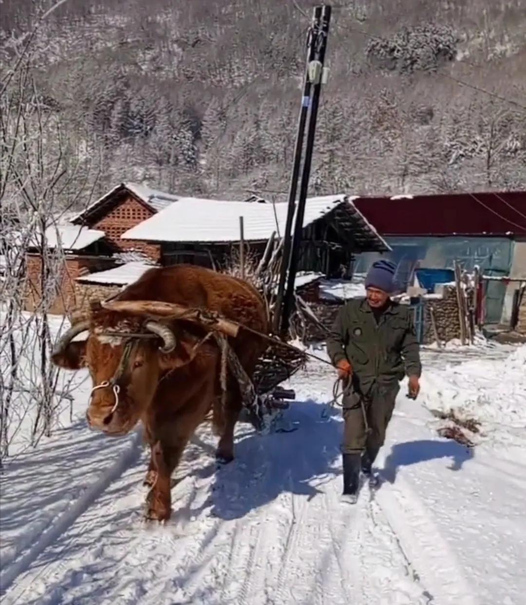 父亲与自行车的故事,父亲和他的汽车故事