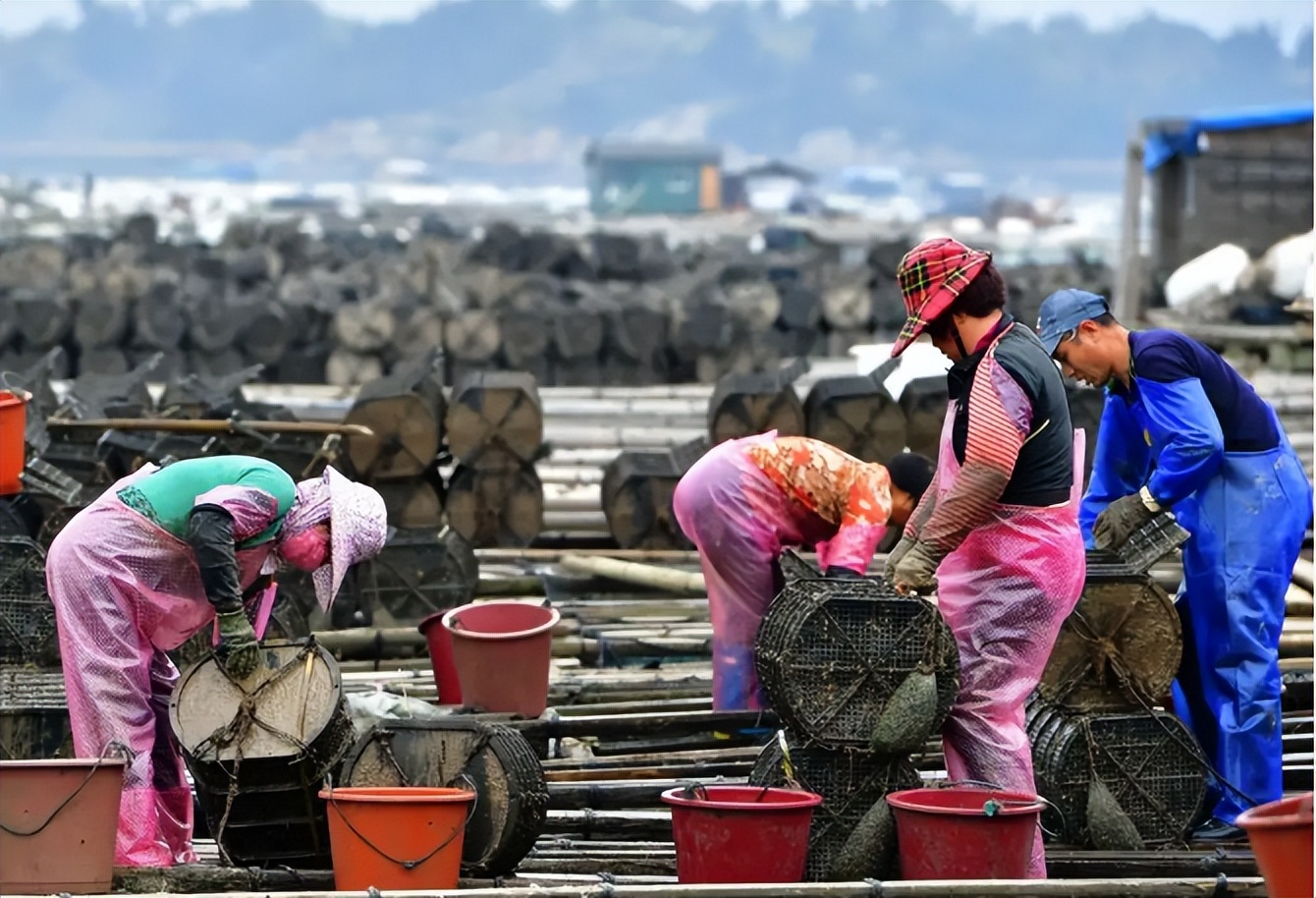 315海参打假哪个品牌,315海参曝光后海参还能吃吗