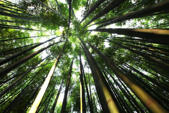 重庆梁平暑期消费季,梁平消费展