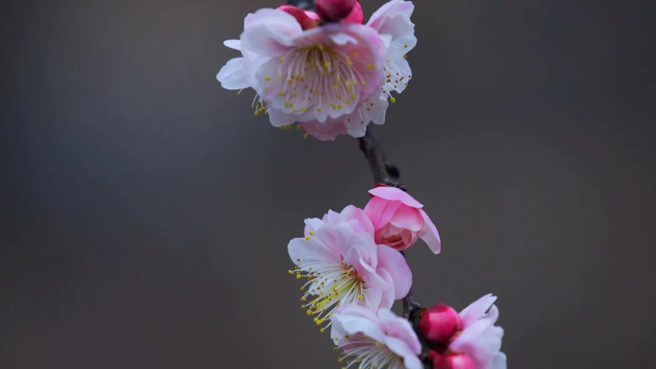 微头条学习写作,微头条写作学习