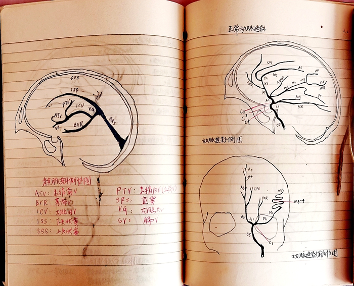 沈阳军区陆军学院,沈阳军区陆军总医院
