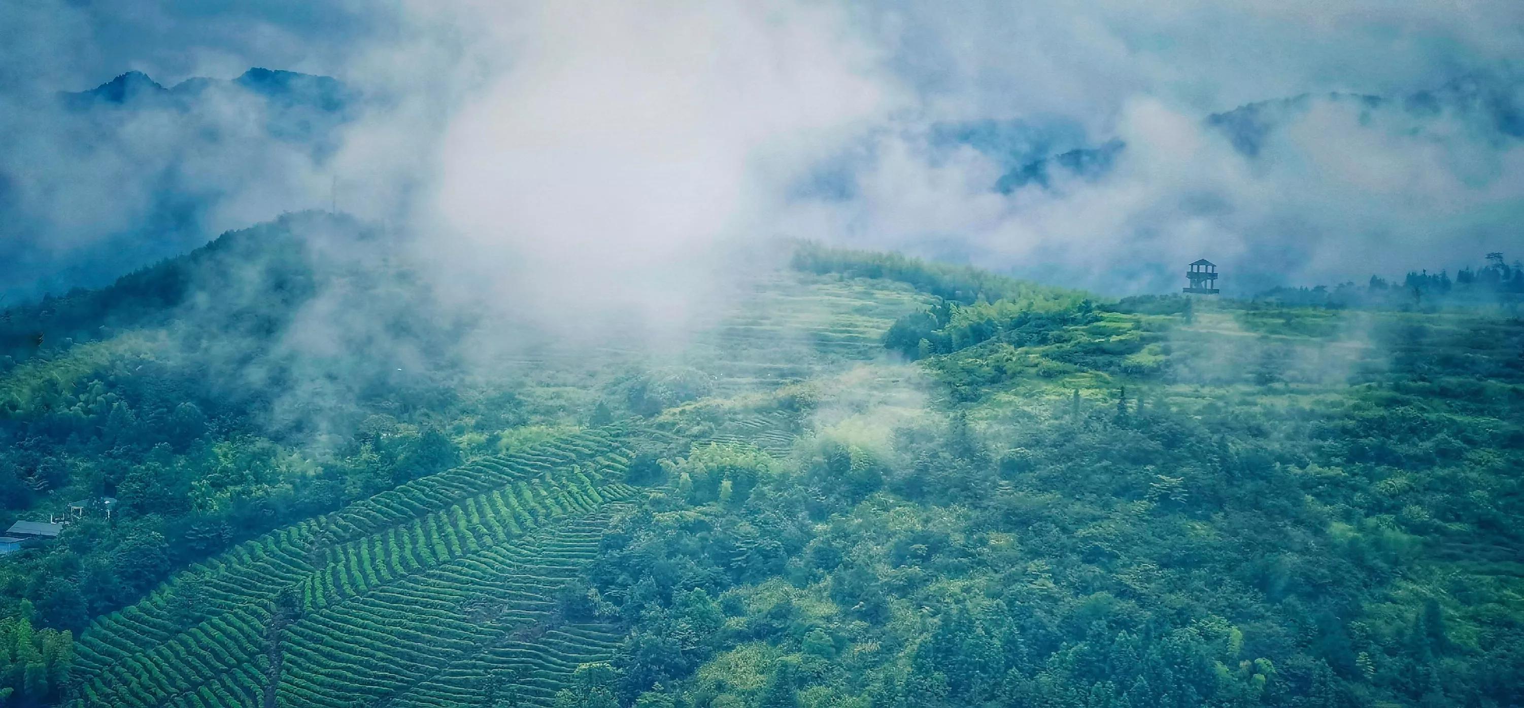 韦应物十大绝句,韦应物最著名的千古名句
