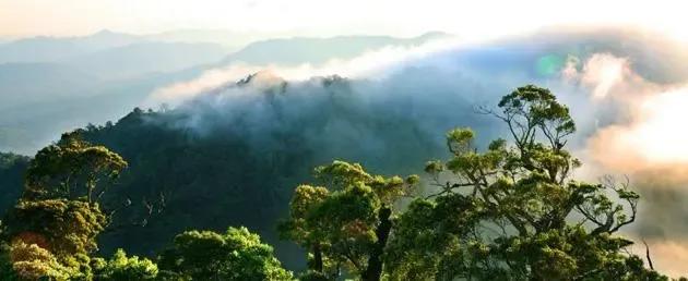 陵水的这些小众景点你会选哪个呢,海南旅游小众城市陵水哪里