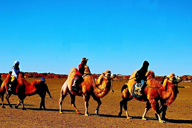 19涓栫邯鍒濊タ娆х殑宸ヤ笟鍙戝睍鎴愬氨,19涓栫邯娆ф床宸ヤ笟鍙戝睍濡備綍