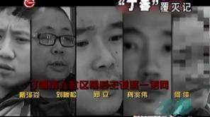 丁香覆灭记完整版免费观看,丁香覆灭记完整