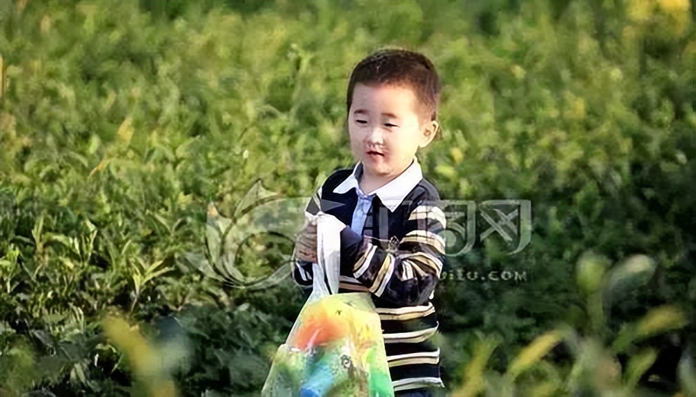 武夷星枞魁茶叶价格 (芳魁茶业有限公司电话)