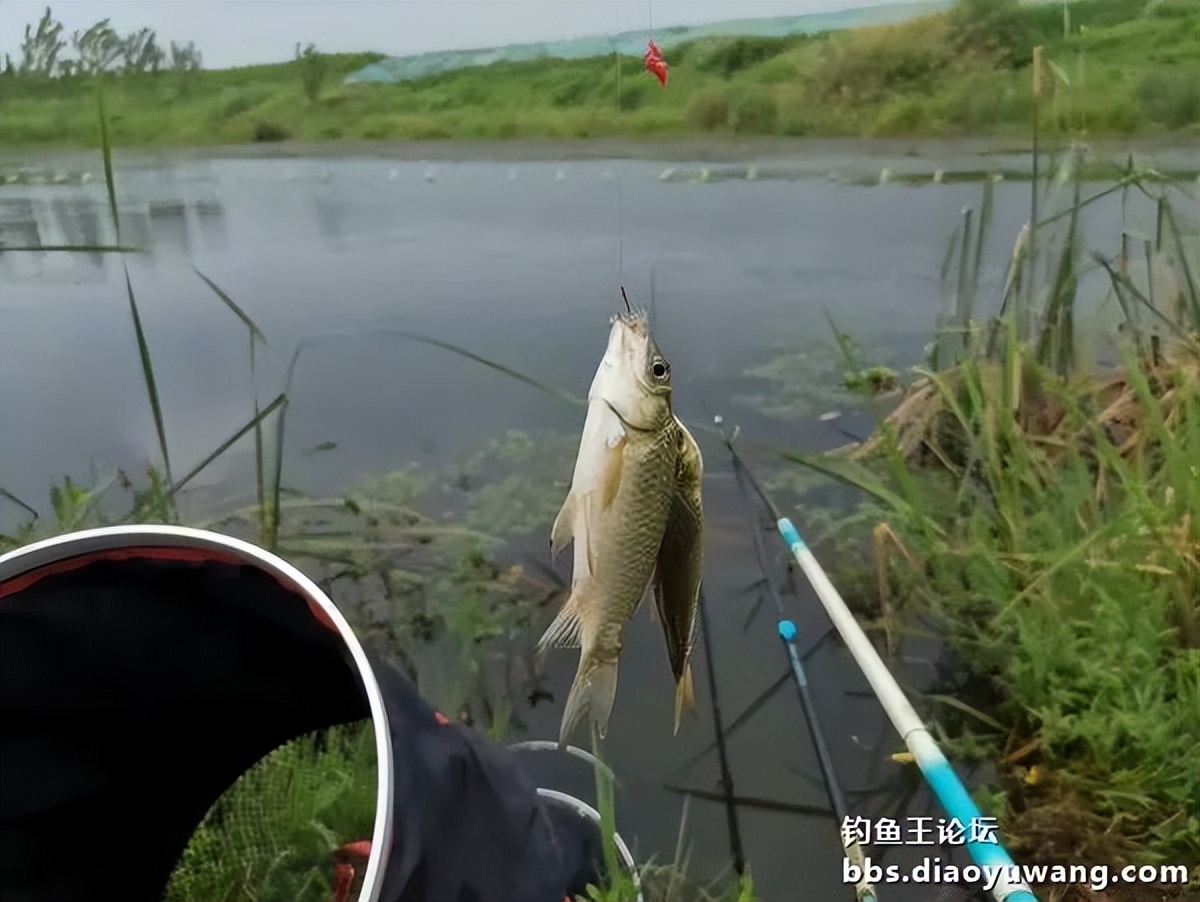 情理之中的上一句,情理之中的意料之外