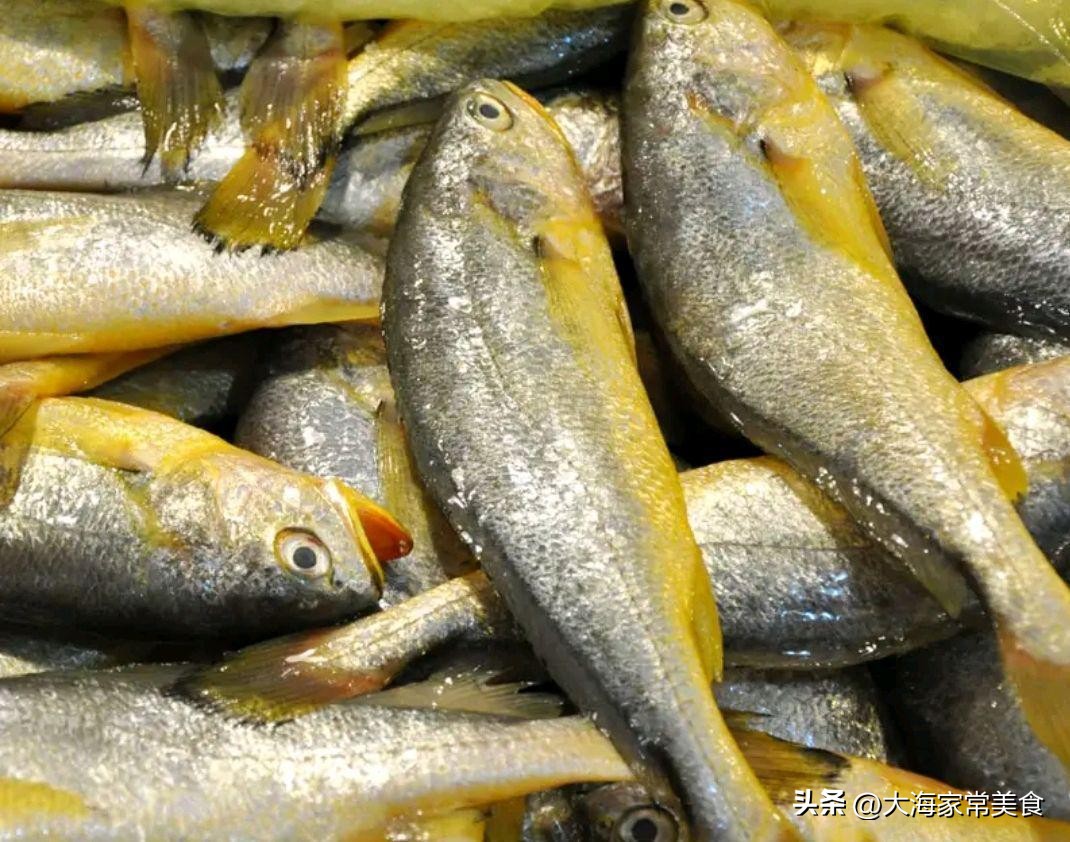 黄花鱼怎么炸比较酥脆,炸黄花鱼粘锅怎么回事