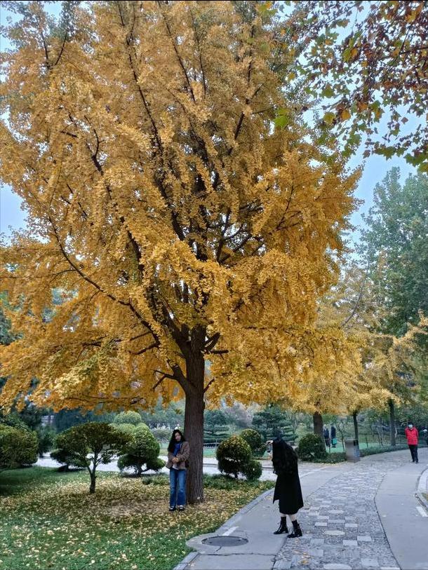 石家庄石门公园,石家庄石门公园前身叫什么