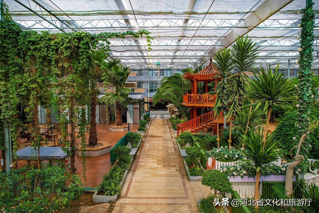 北戴河全域旅游,河北海边旅游城市推荐