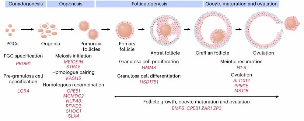 复旦大学4月科研成果,复旦春季学期