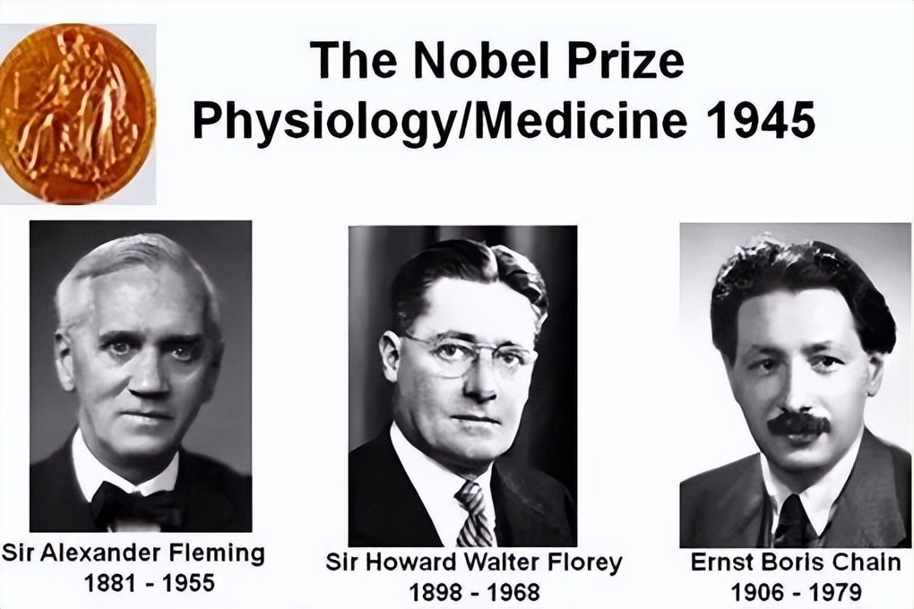 青霉素是最伟大的发明吗,为什么说青霉素是人类伟大发明